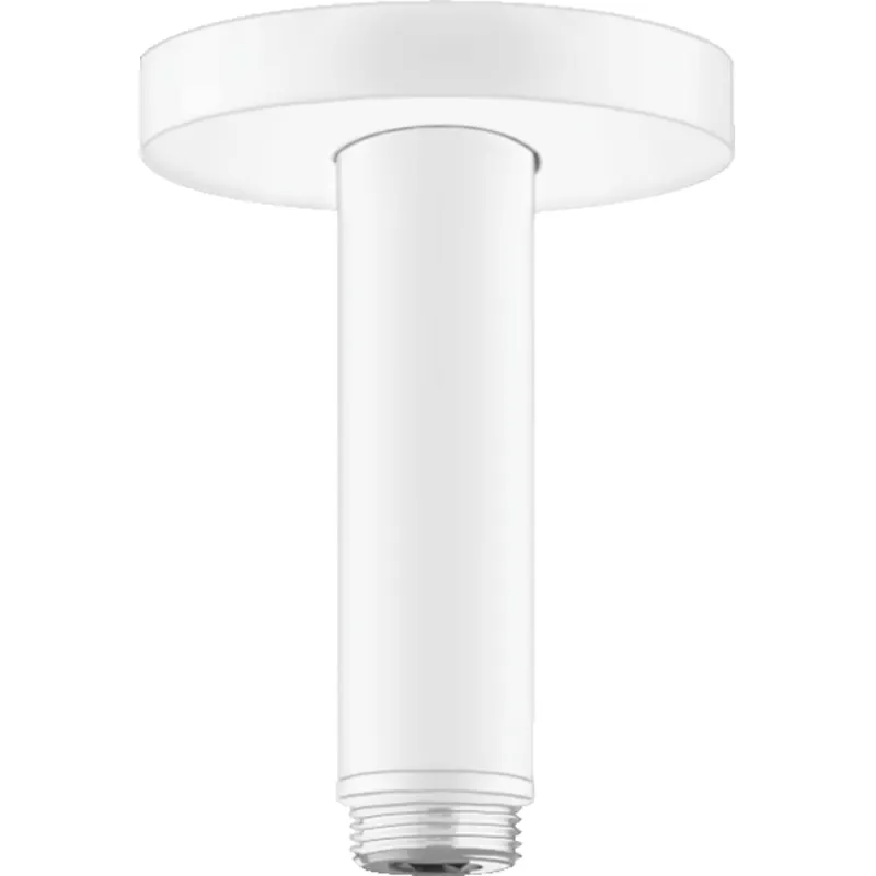 Brat dus vertical alb mat Hansgrohe 27393700