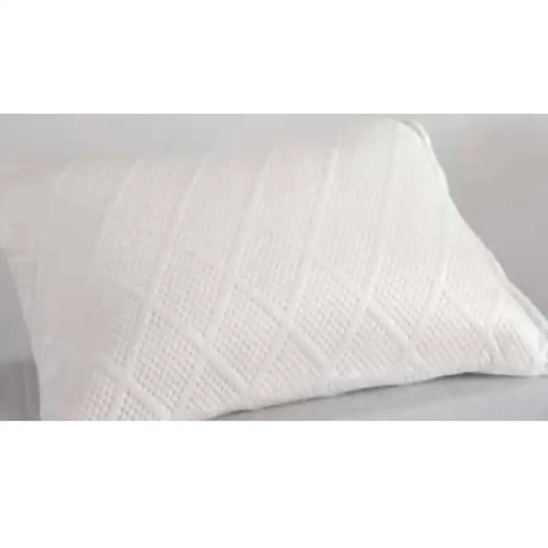 Perna visco, 50 x 70 cm.00200