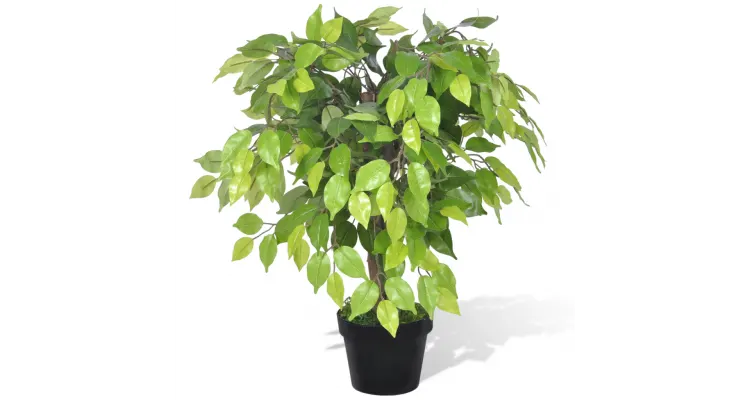 Ficus pitic artificial cu aspect natural si ghiveci, 60 cm