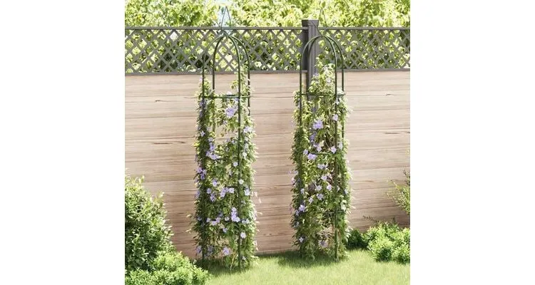 Arcada de gradina 2 buc — imaginea 3