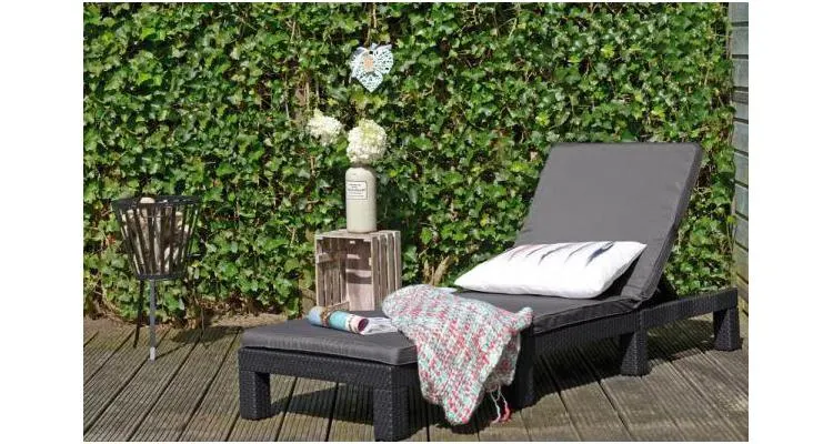 Sezlong elegant cu spatar ajustabil Daytona Grafit/Gri-rece — imaginea 4