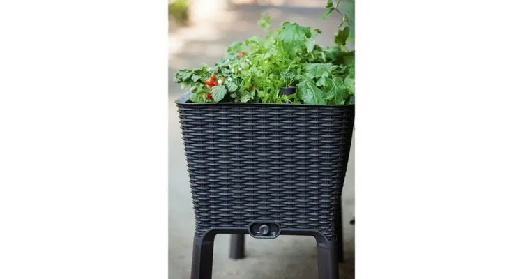 Jardiniera cu picioare EASY GROW Antracite — imaginea 3