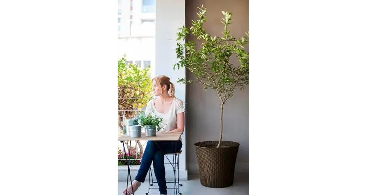 Ghiveci Keter CONIC PLANTER Maro