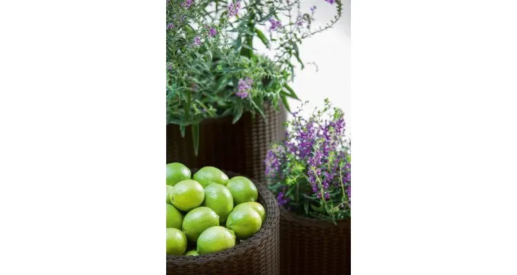 Set ghivece cilindrice S+M+L Planters - Maro-Auriu — imaginea 2