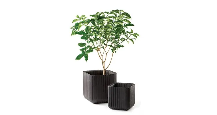 Ghiveci Cube Planter L Maro-Auriu — imaginea 3