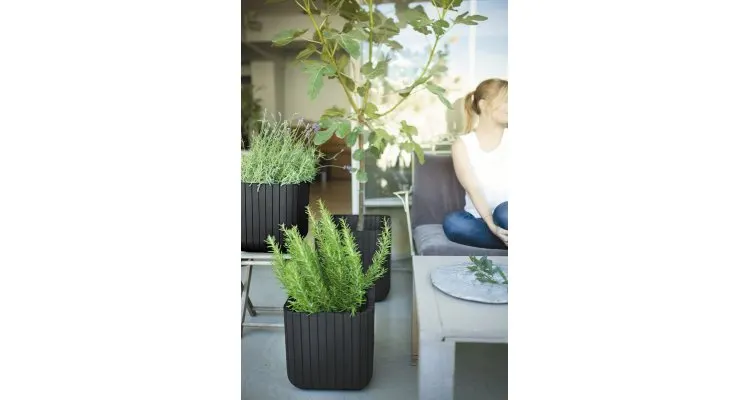 Ghiveci Cube Planter L Maro-Auriu — imaginea 4