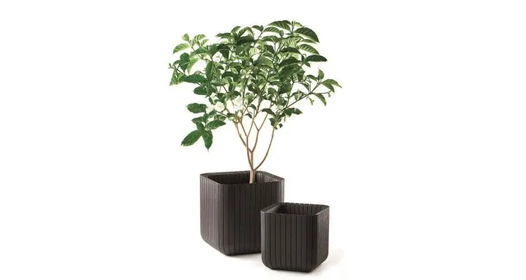 Ghiveci Cube Planter M Maro-Auriu