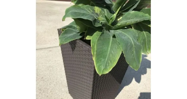 Ghiveci Small Rattan Planter 23.6l — imaginea 4