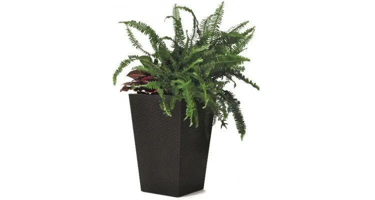 Ghiveci imitatie rattan Keter Rattan M 55.4 L, grafit