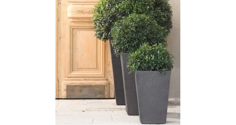 Ghiveci imitatie rattan Keter Rattan M 55.4 L, grafit — imaginea 2