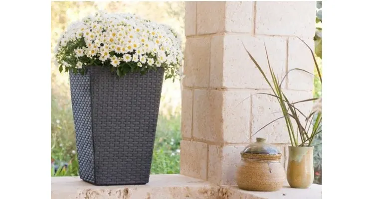 Ghiveci imitatie rattan Keter Rattan M 55.4 L, grafit — imaginea 4