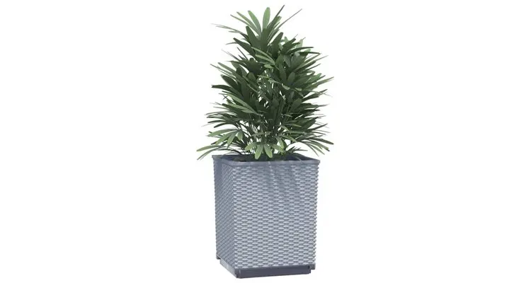 Jardiniere, 2 buc., gri deschis, 30x30x37 cm, polipropilena — imaginea 3