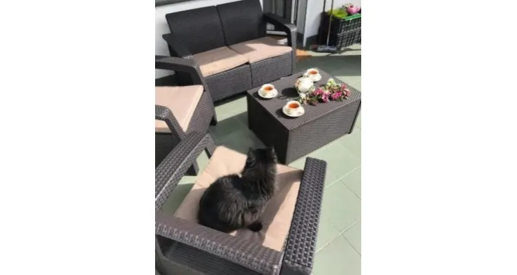 Set mobilier de gradina Corfu II BOX Maro — imaginea 4