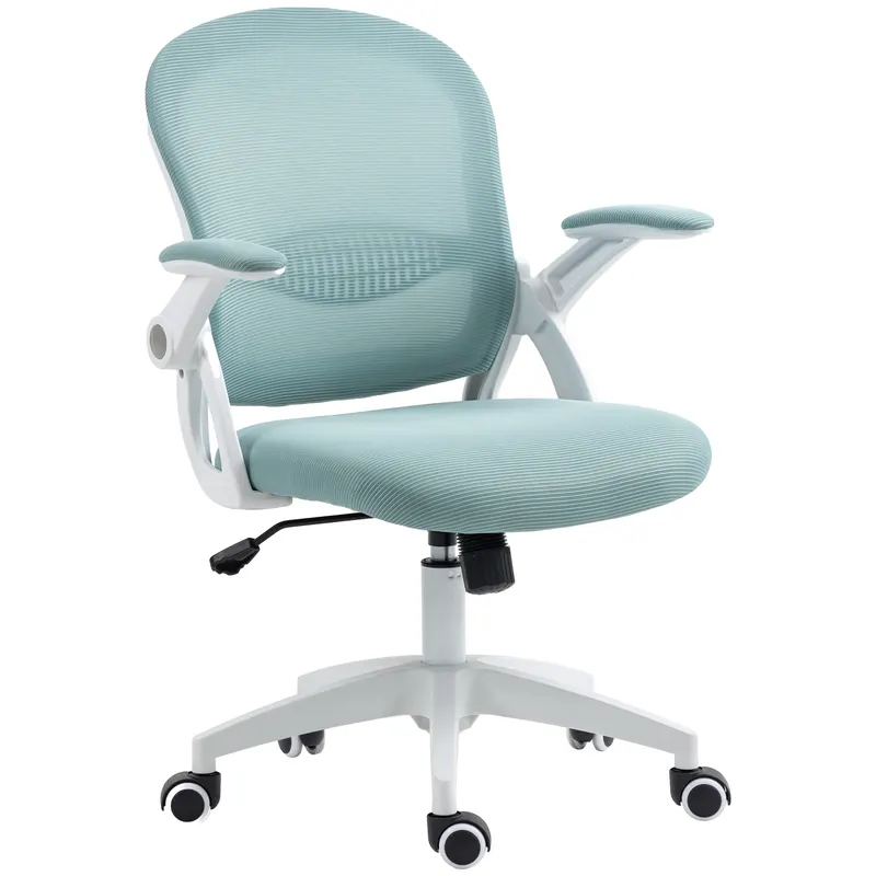 Vinsetto Scaun Birou Ergonomic Albastru Dimensiuni Variabile Suport Lombar Integrat | Romania