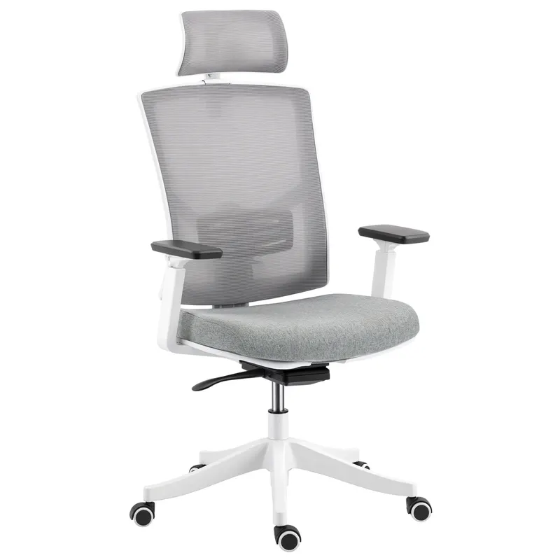 HOMCOM Scaun de Birou Ergonomic și Respirabil cu Suport Lombar Dinamic 4D, 64.5x62.5x112-122 cm, Multicolor | Romania