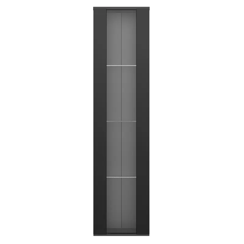 Vitrină multifuncțională cu perete despărțitor din sticlă, lumină LED cu schimbare de culoare, 40x29x170 cm, Negru