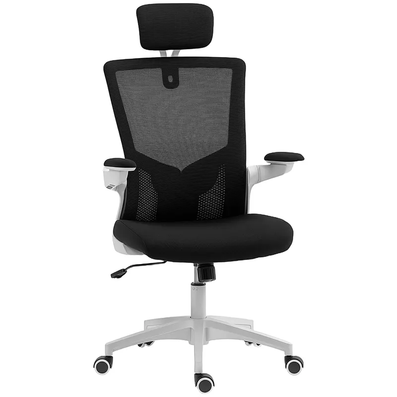 HOMCOM Scaun de birou ergonomic, fotoliu de birou, brațe rabatabile, suport lombar, tetieră, 60x63x120cm, negru | Romania