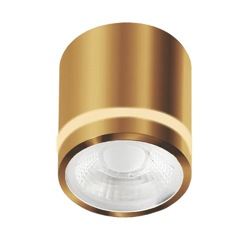 Spot aplicat dimabil VRICS - Gold