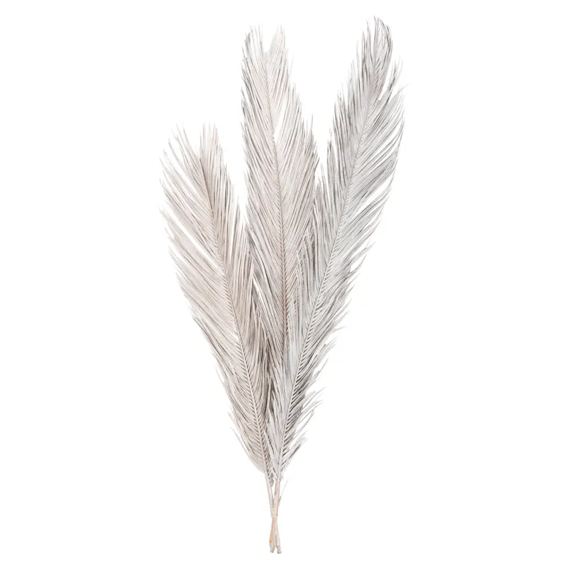 Flori uscate ALANTA PALM SILVER - Grey
