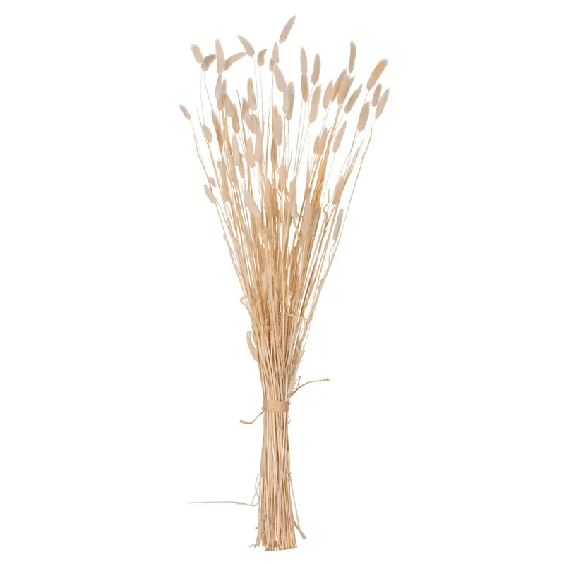 Flori uscate NANSI BOUQUET - Cream