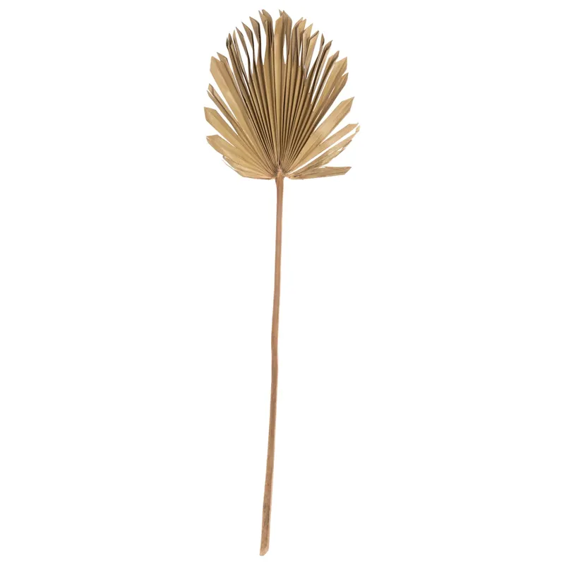 Frunza uscata HOLAS PALM - Lemn