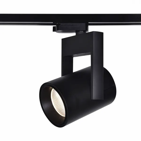 Proiector pe sina 4L RIMA 25W - Negru