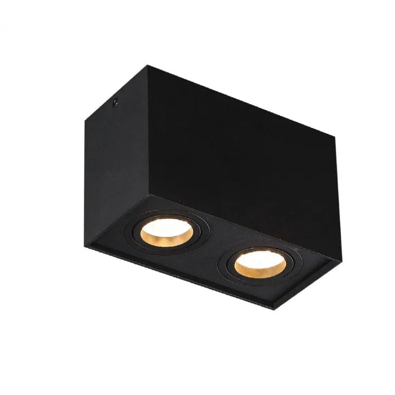Spot aplicat SUA 2L - Negru
