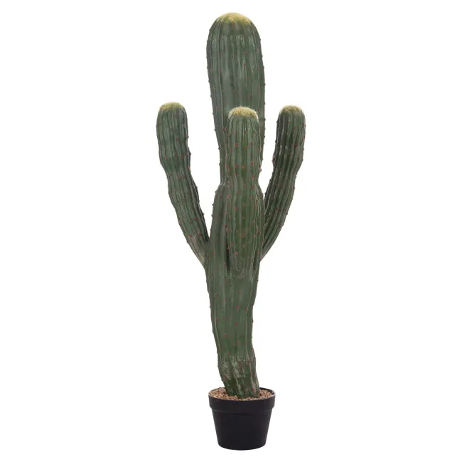 Cactus ROTOR 113 CM - Default Title