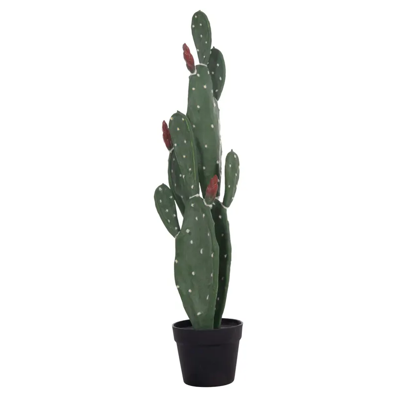 Cactus RUSPA 85 CM - Default Title
