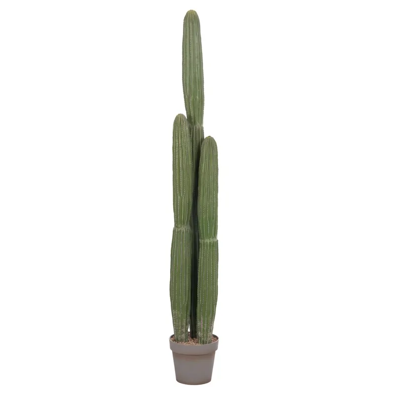 Cactus ARLET 144 CM - Default Title