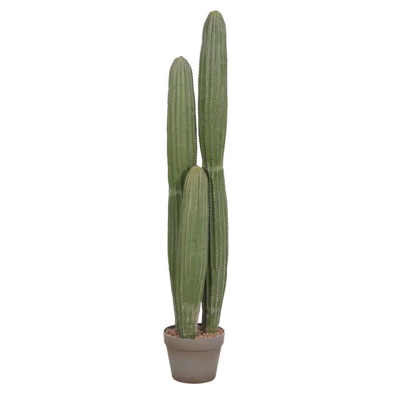 Cactus MARVIN 105 CM - Default Title