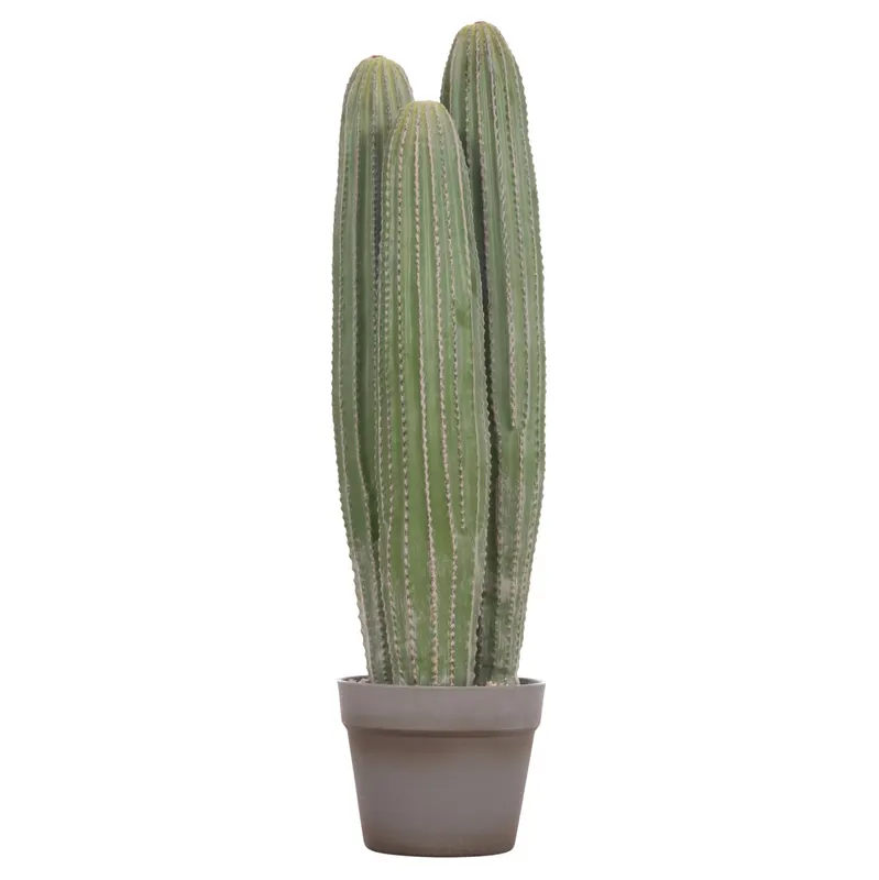 Cactus LELO 62 CM - Default Title