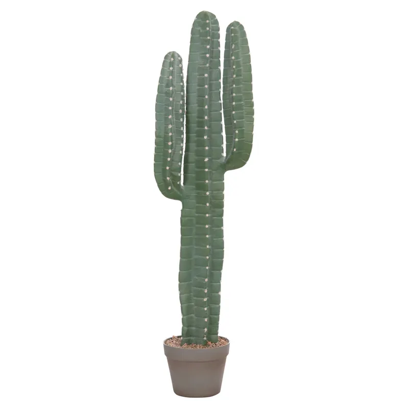 Cactus LETRA 103 CM - Default Title