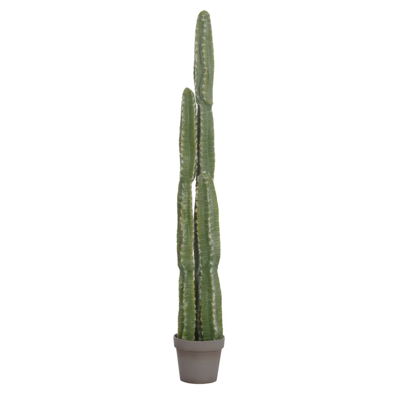 Cactus VEBER 141 CM - Default Title