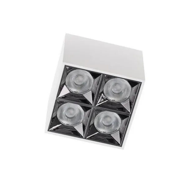 Spot aplicat BARUZ WHITE 16W - Lumina neutra 4000K