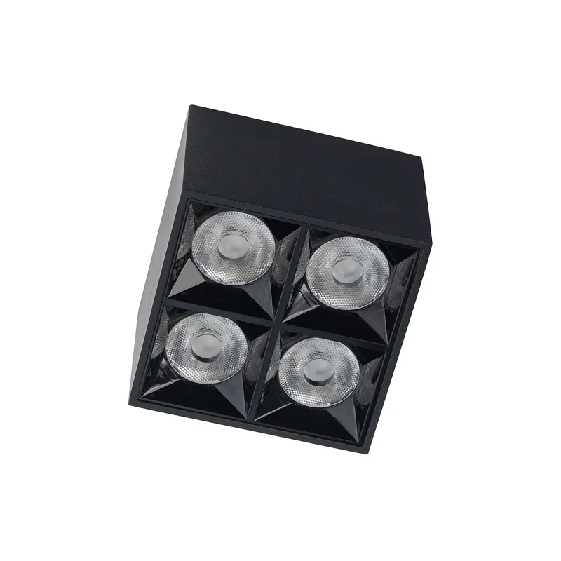 Spot aplicat BARUZ BLACK 16W - Lumina neutra 4000K