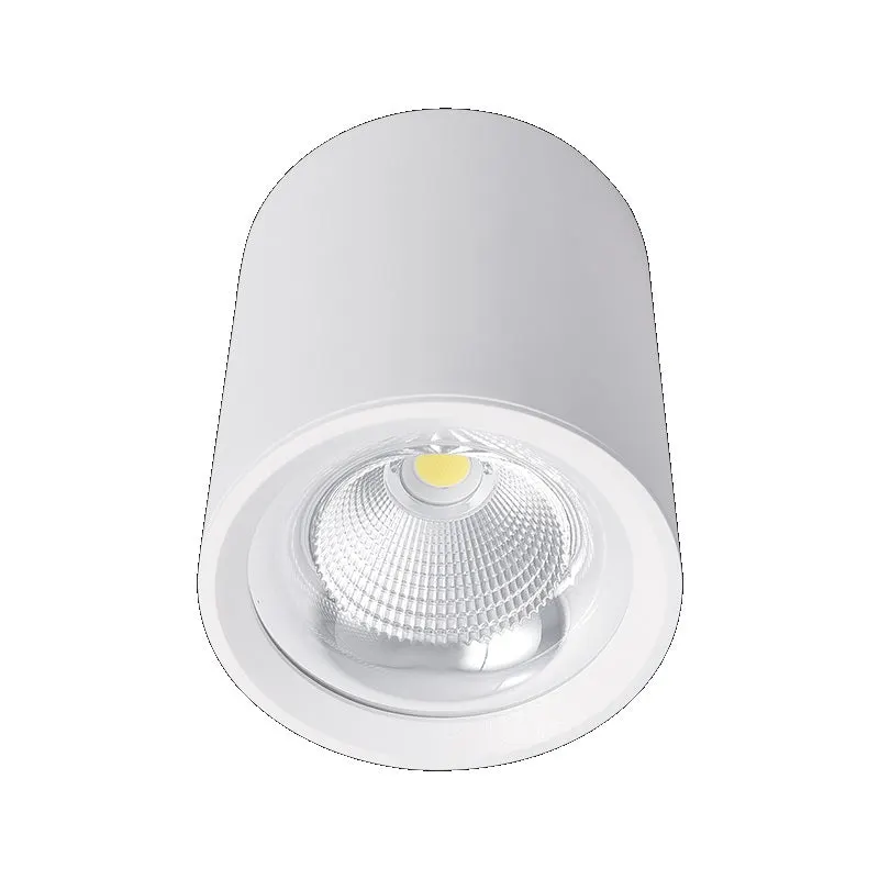 Spot aplicat MAREL 40W - Alb
