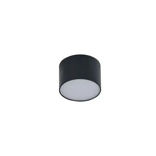 Spot aplicat CARENTES 5W - Negru / Lumina neutra 4000K