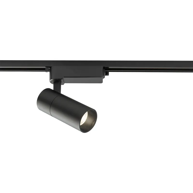 Proiector pe sina INES 30W - Negru