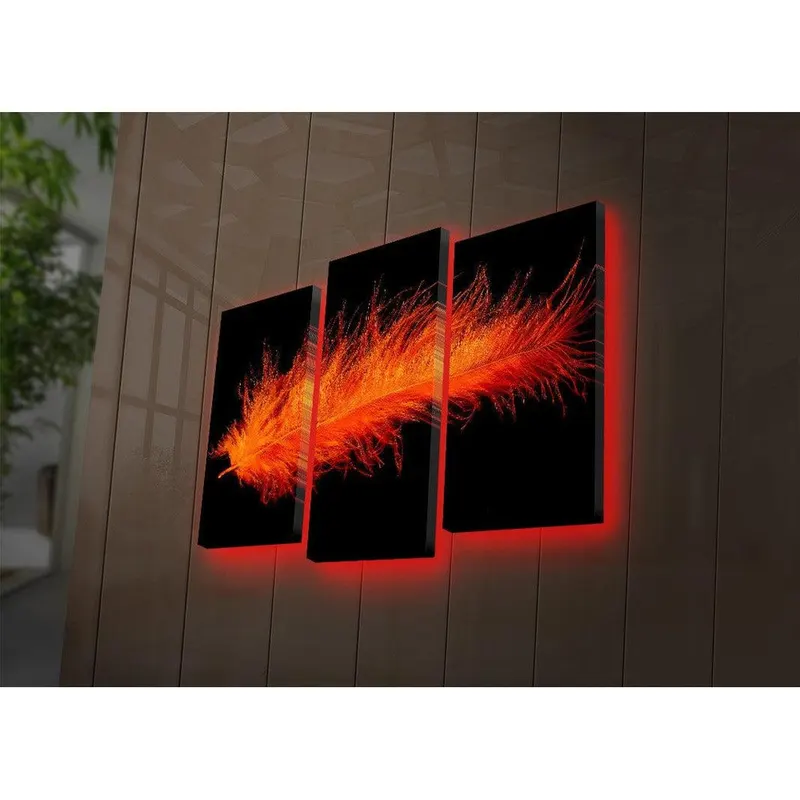 Tablou Canvas cu Led Pana Rosu, Multicolor, 66x45 cm - Multicolor