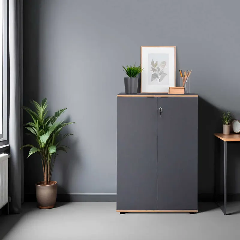 Bibliotecă RKT-332-DD-1 Home Collection® Rio cu 2 Uși, Cheie și 3 Rafturi, 72x109x34 cm - Antracit