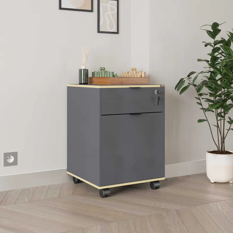 Corp Mobil RKM-311-DD-1 Home Collection® Rio Rollbox, usa, sertar cu cheie, 41x61x45 cm - Antracit