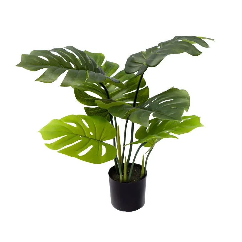Planta decorativa Monsteraghiveci verde PP H70 cm - Negru
