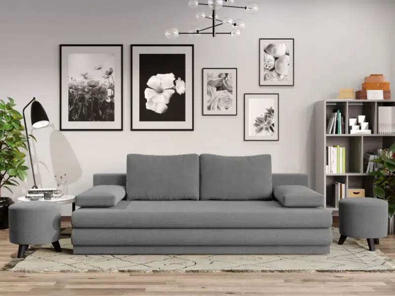 Canapea Extensibila Sensi Gri Deschis — imaginea 2