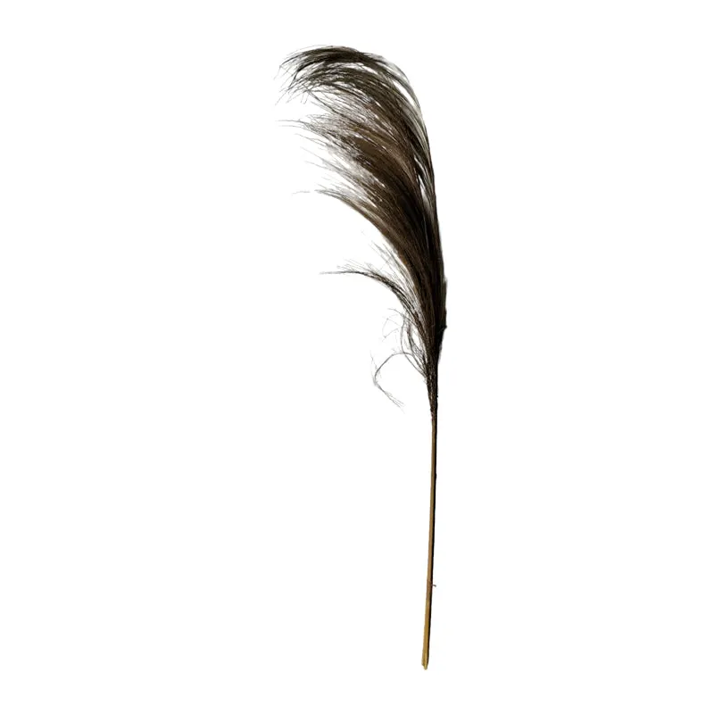 Planta decorativa Pampasion Boho, Natural, 80x150 cm - Natur