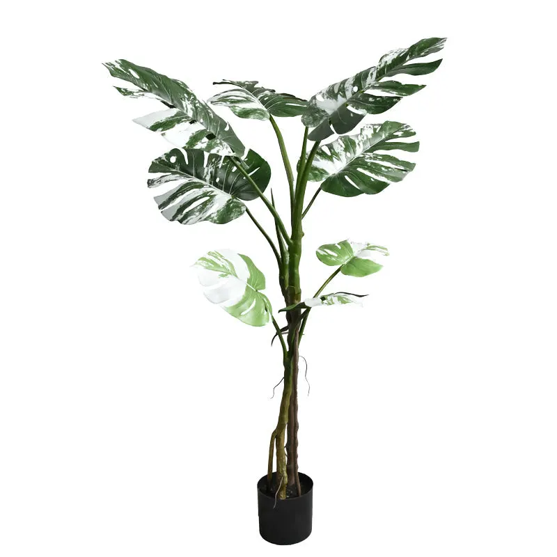 Planta decorativaghiveci Monstera II verde pp H132cm - Negru