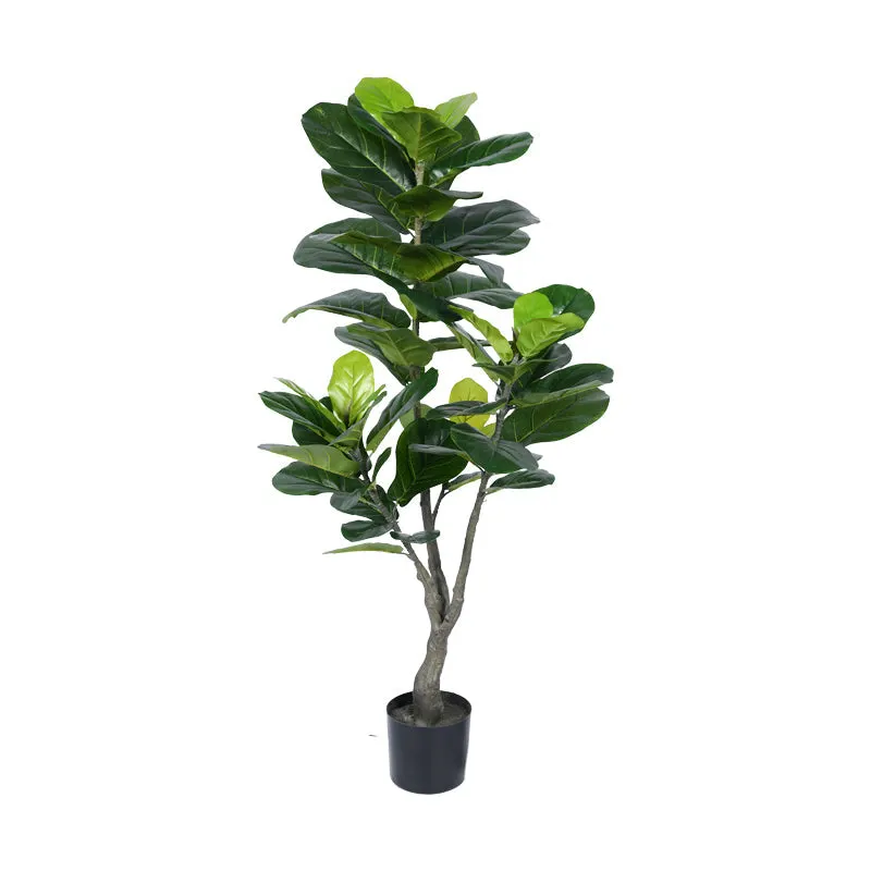 Planta decorativa Fiddleheadghiveci, verde, H120cm - Negru