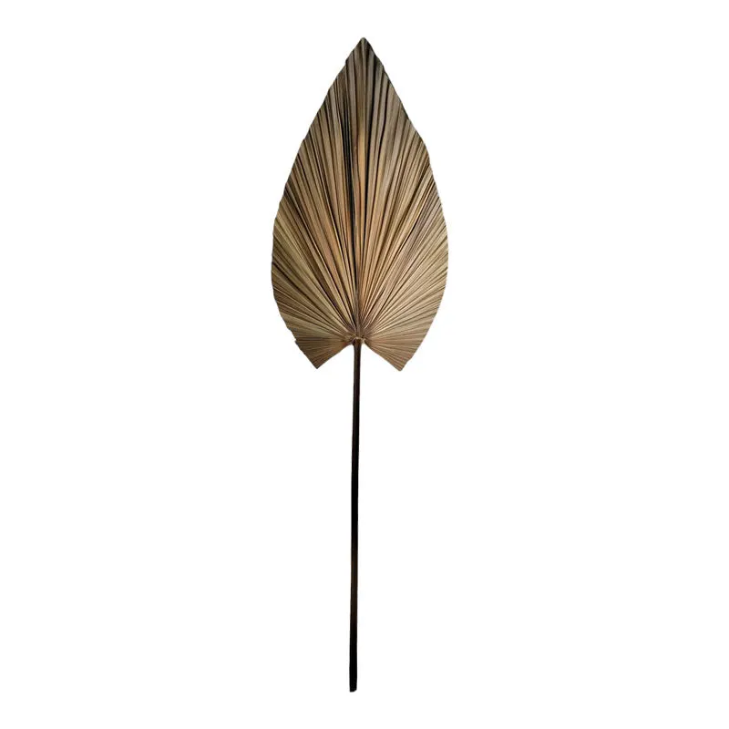 Planta decorativa Leafen Boho, Natural, 50x75x150 cm - Natur