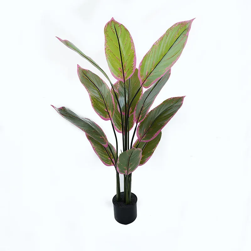 Plantă decorativă în ghiveci Calathea, Plastic, Verde, 68x120 cm - Verde