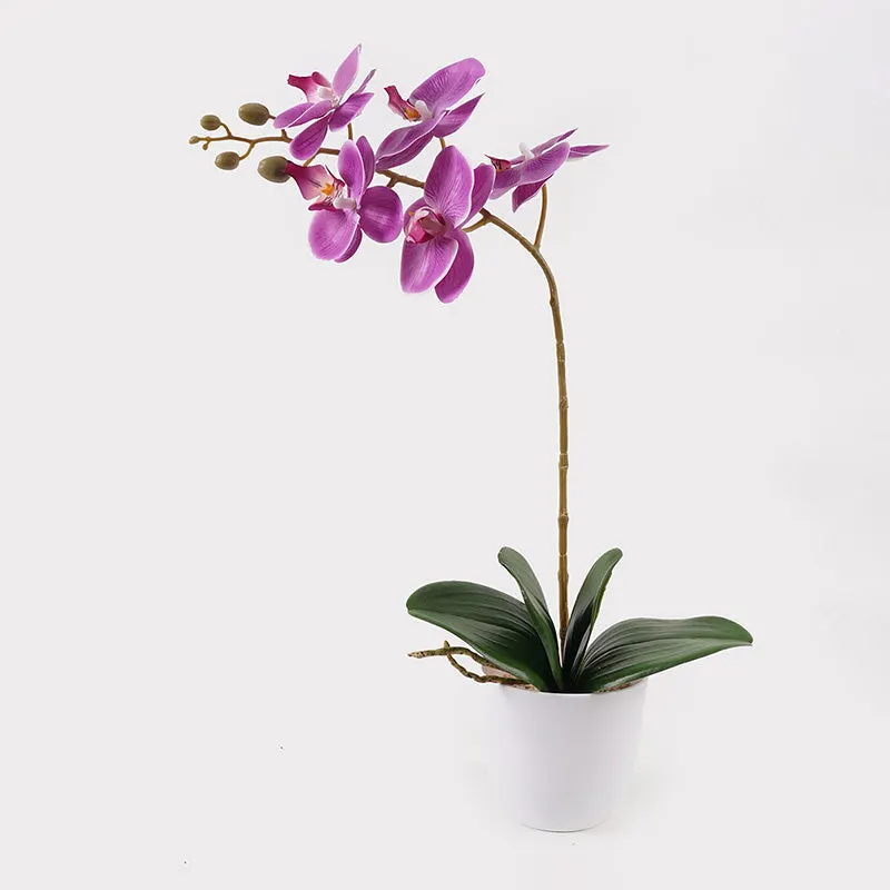Plantă decorativă în ghiveci, Orhidee Orchid Beauty, Sintetic, Mov, 30x13x46 cm - Mov